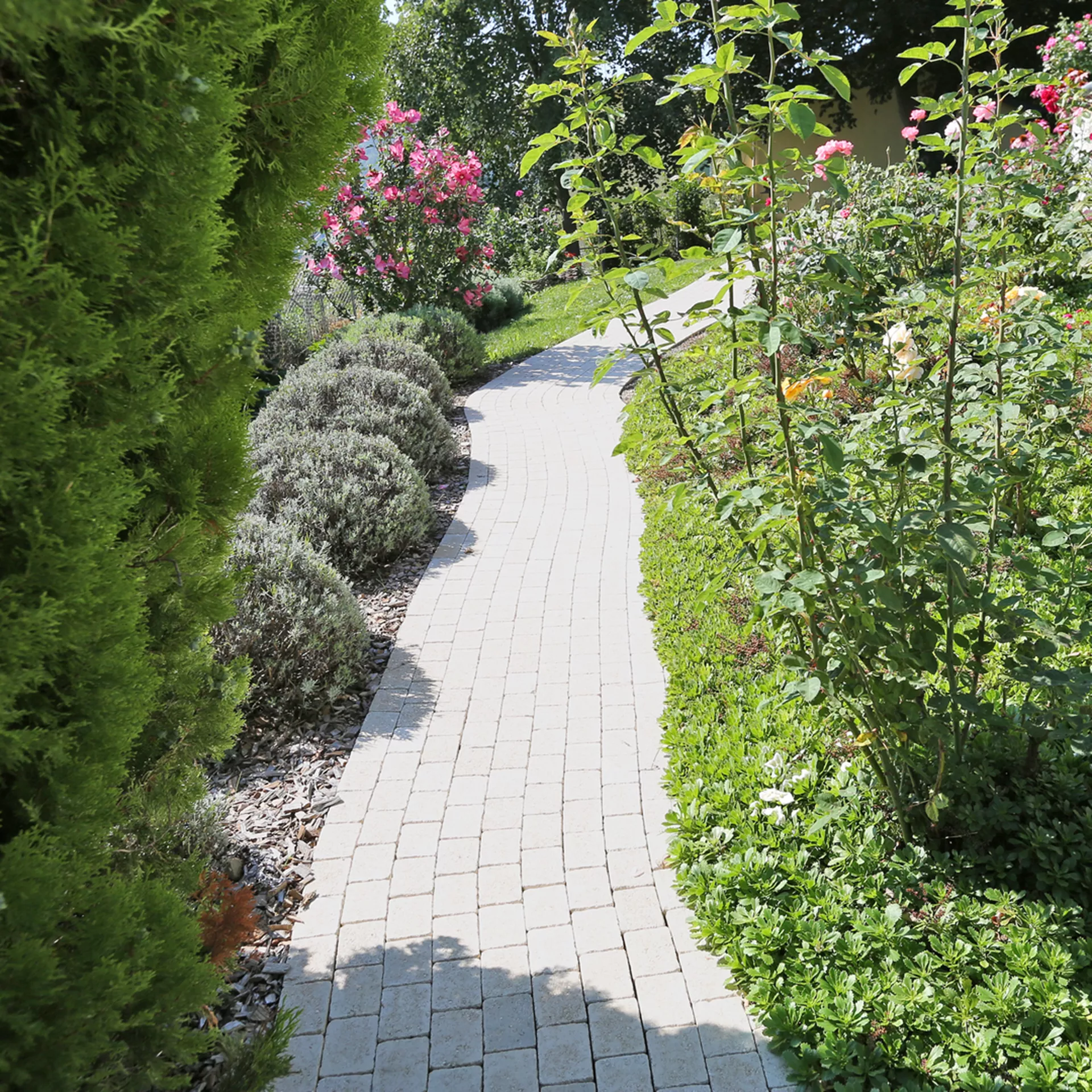 TEGULA<sup>®</sup> Pflastersteine Kanten gebrochen