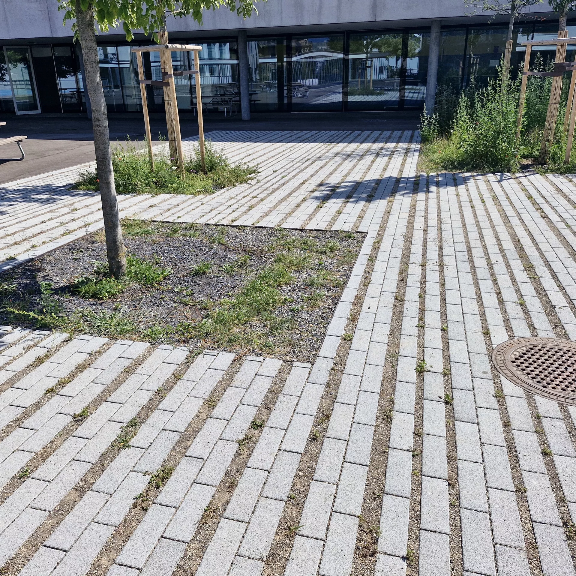 CLIMA STONE gazon légèrement chanfreiné