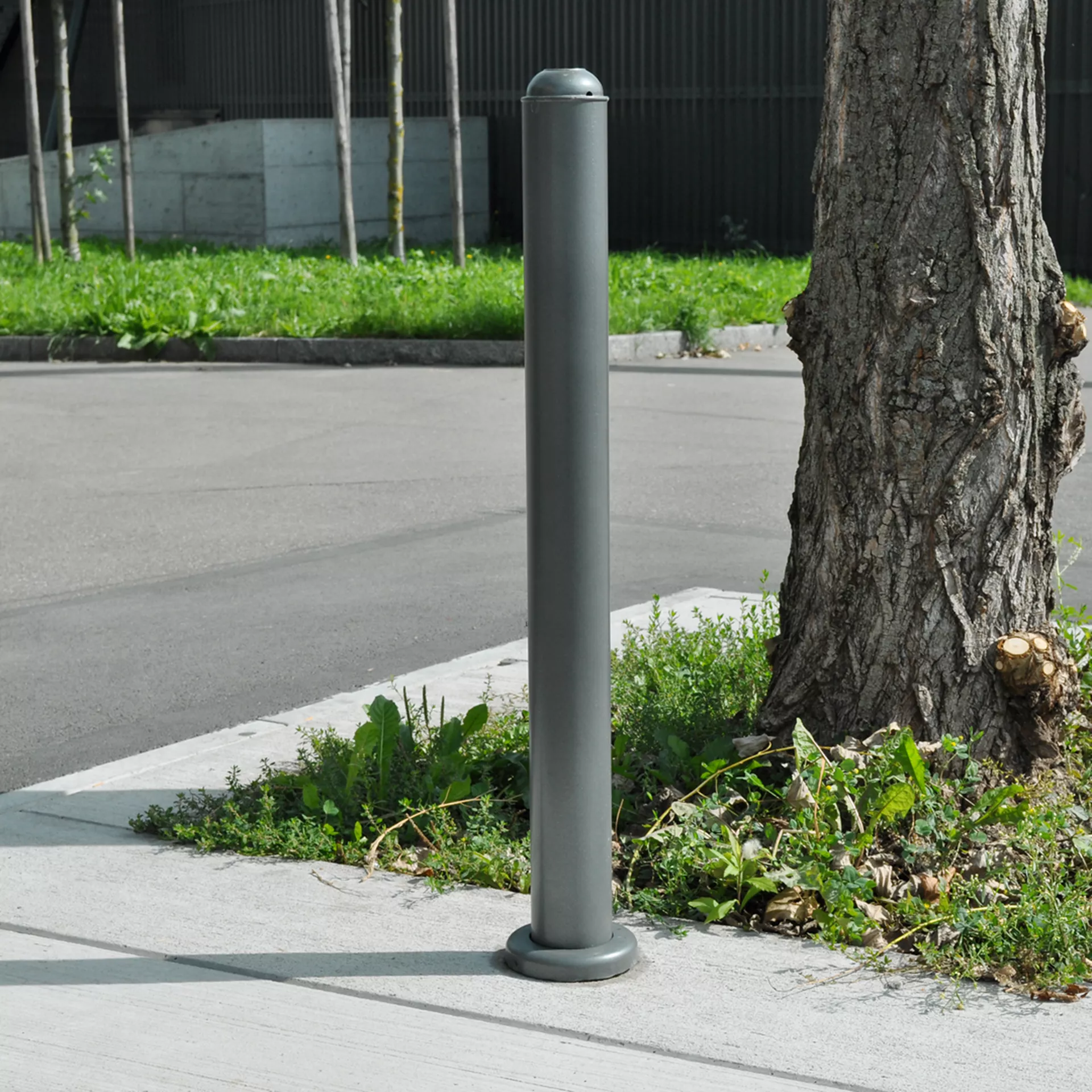 F+F Eléments de base pour la protection de l'espace racinair re des arbres