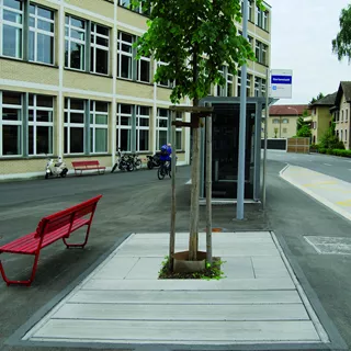 F+F Eléments de base pour la protection de l'espace racinair re des arbres