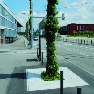 F+F Eléments de base pour la protection de l'espace racinair re des arbres