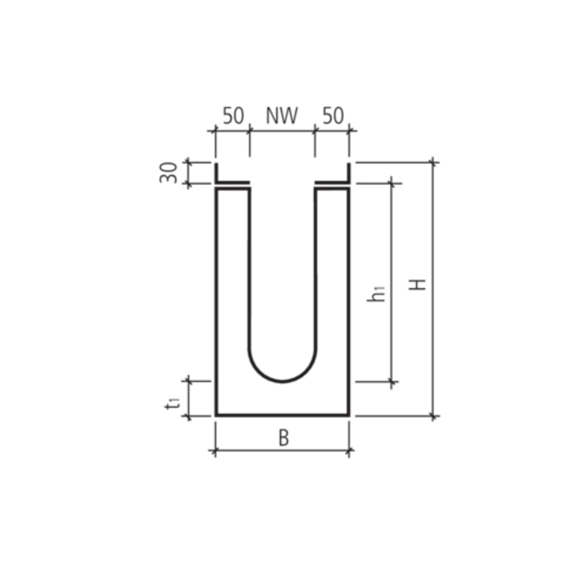 BIRCOsir<sup>®</sup> Rinnen NW 100