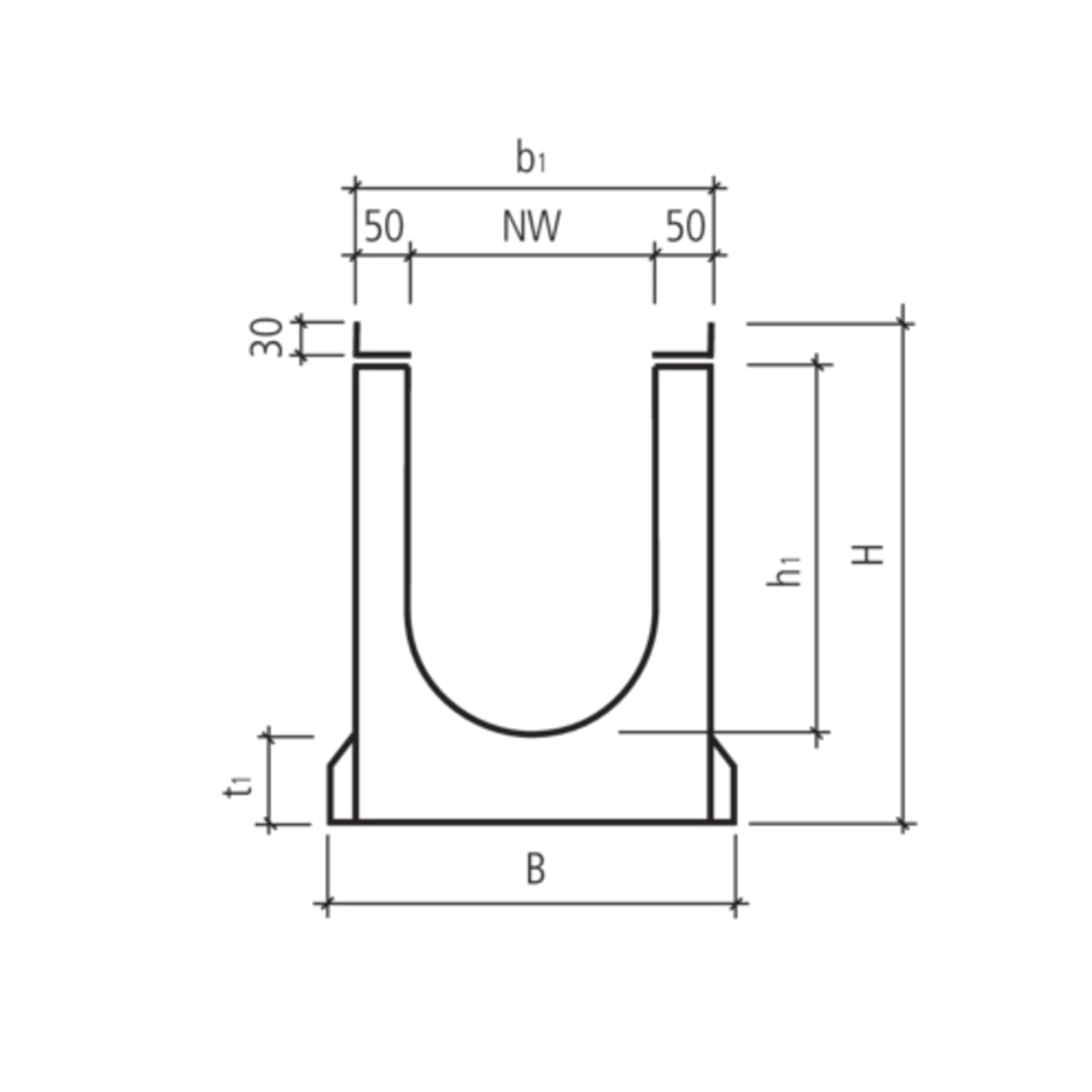 BIRCOsir<sup>®</sup> Rinnen NW 200 AS