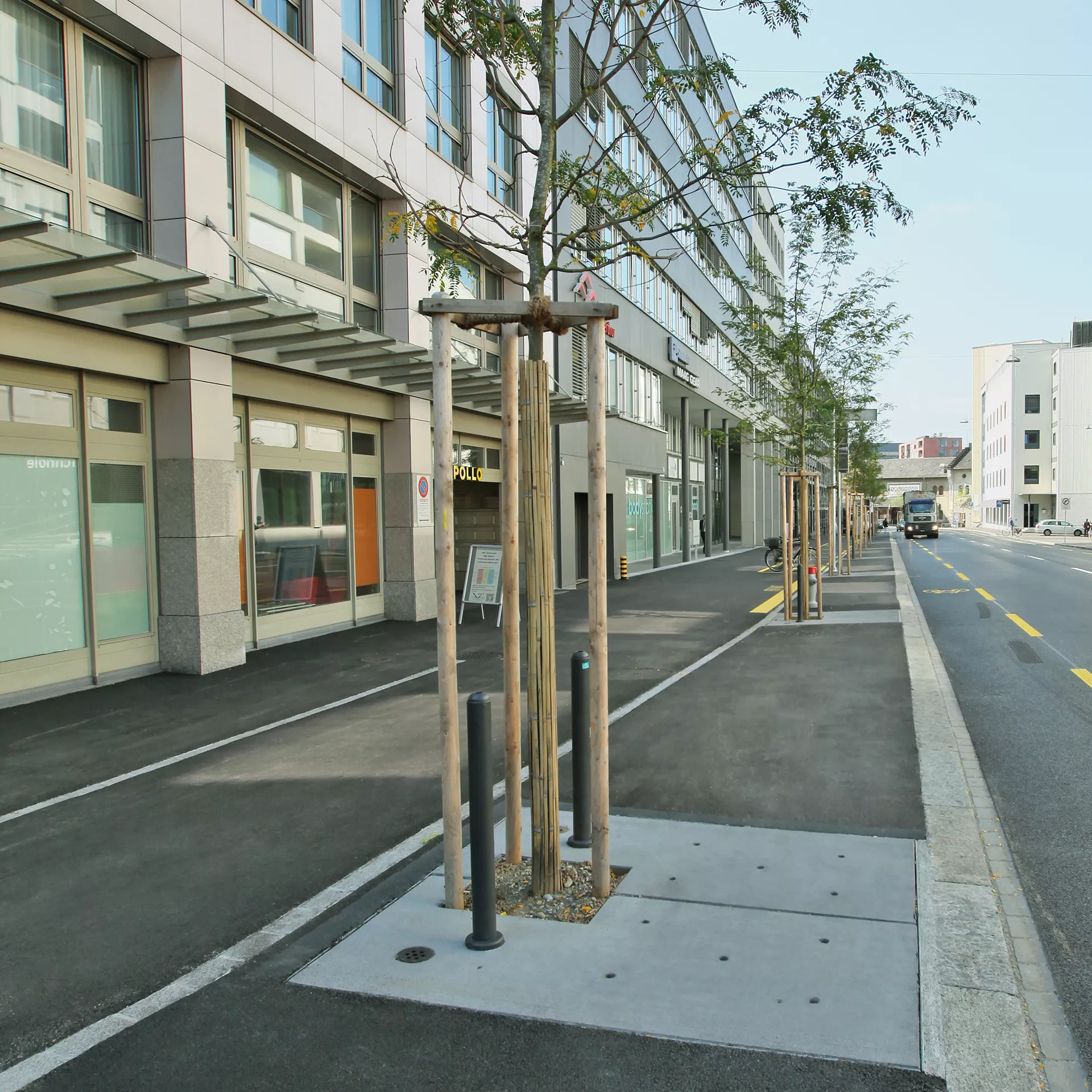 BAUMFIX<sup>®</sup> Baumscheiben