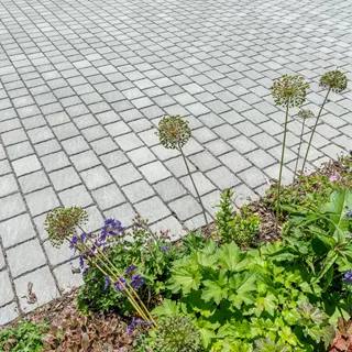 FRIEDA<sup>®</sup> DRAIN Ökosteine Kanten gebrochen