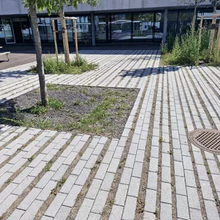CLIMA STONE gazon légèrement chanfreiné