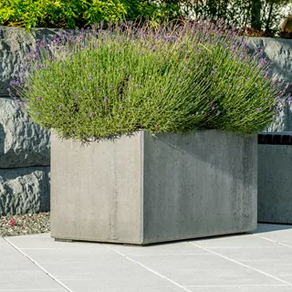 PARCO<sup>®</sup> Pflanzentröge glatt