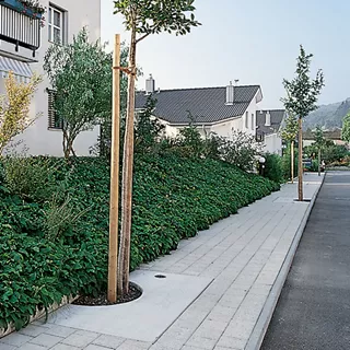 BAUMFIX<sup>®</sup> Baumscheiben