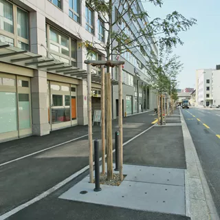 BAUMFIX<sup>®</sup> Baumscheiben