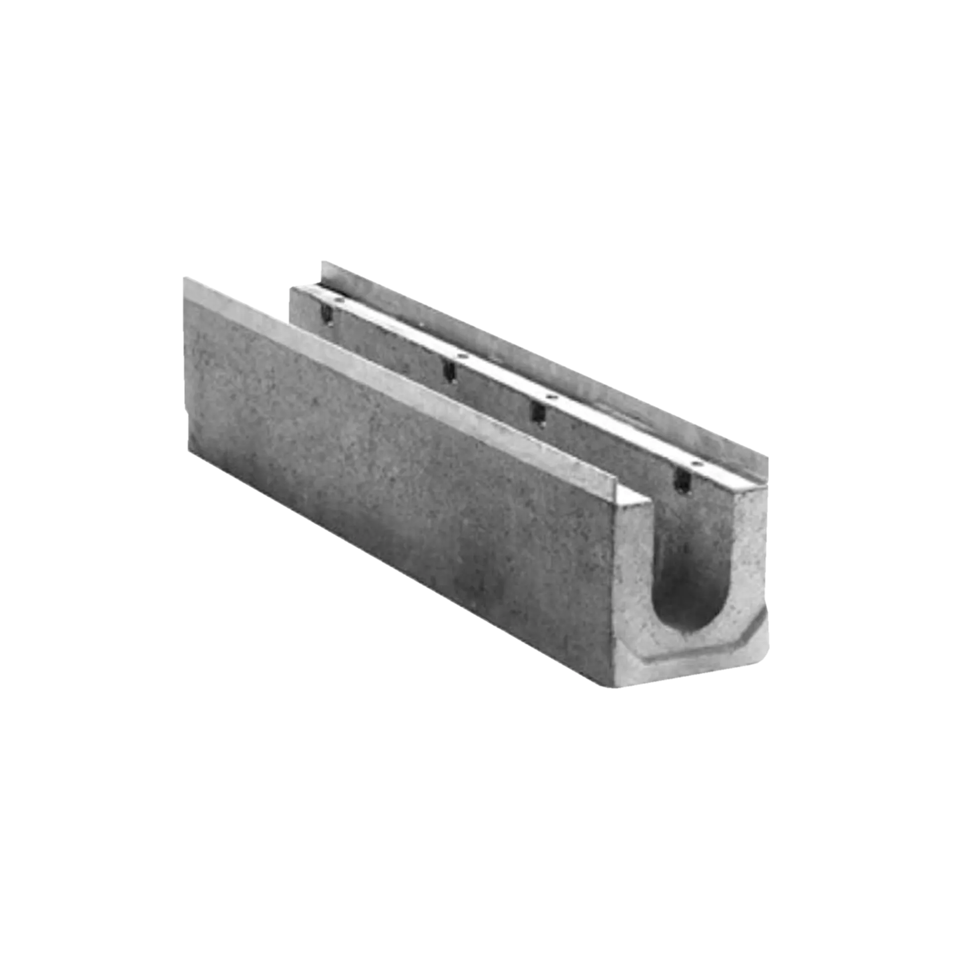 BIRCOsir<sup>®</sup> Rinnen NW 100