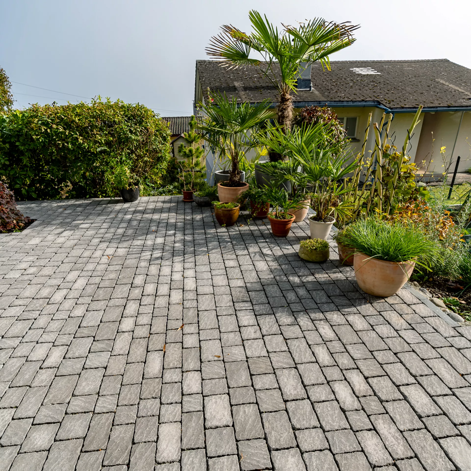 FRIEDA<sup>®</sup> Wildpflaster