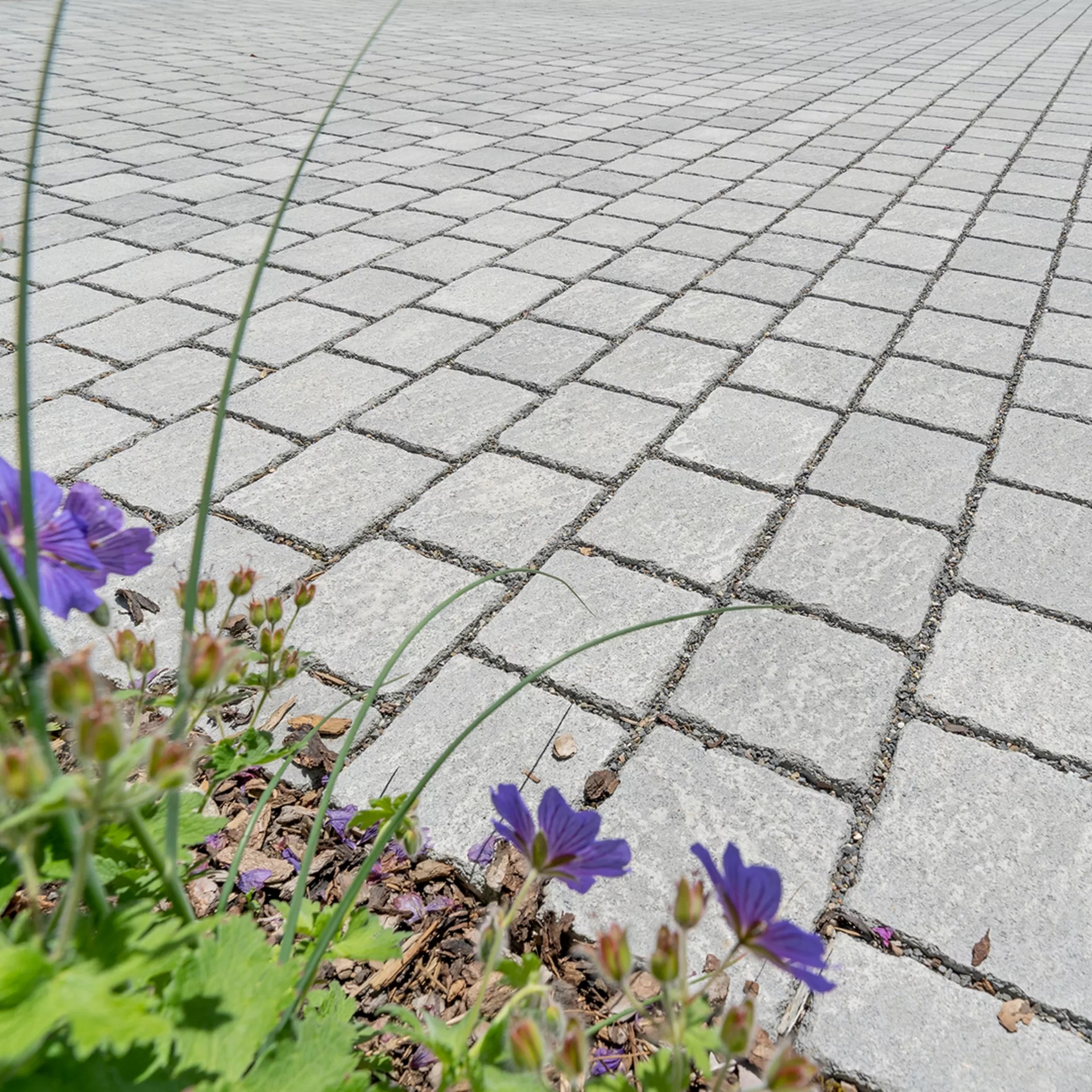 FRIEDA<sup>®</sup> DRAIN Ökosteine Kanten gebrochen