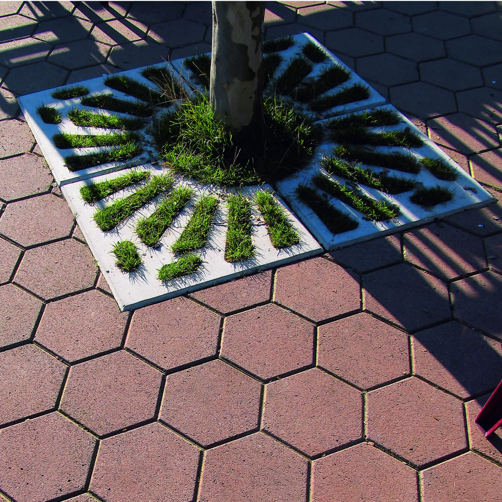 Entourages d'arbres COMO