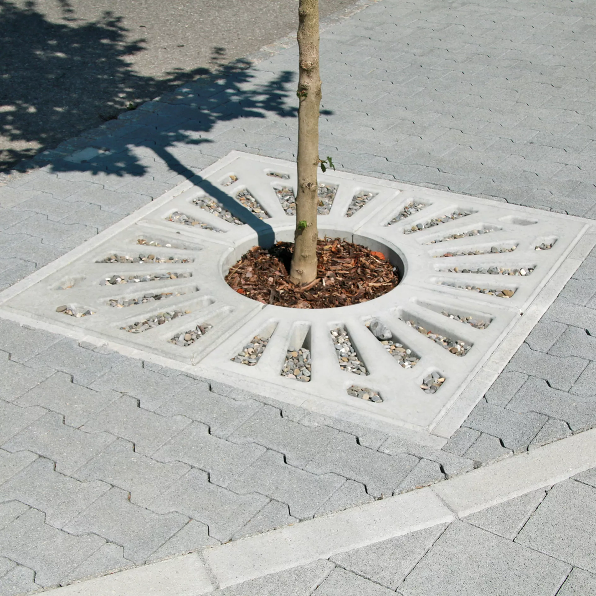 Entourages d'arbres COMO