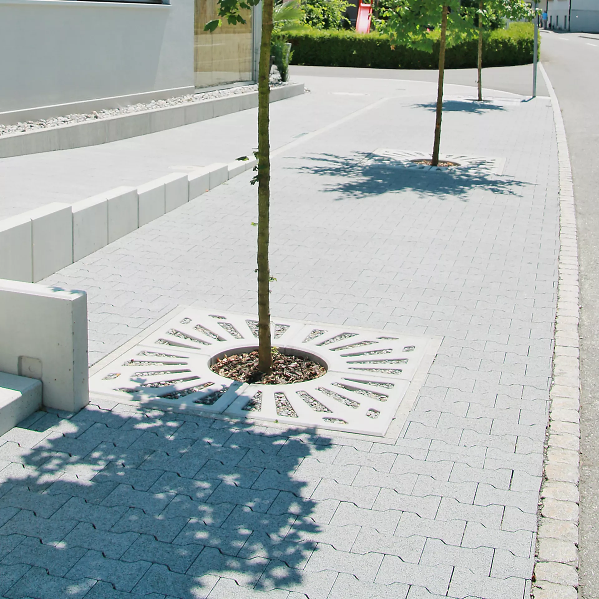 Entourages d'arbres COMO