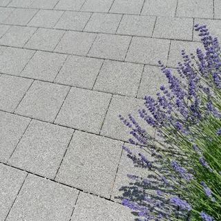 CARENA<sup>®</sup> Sickersteine fino gefast