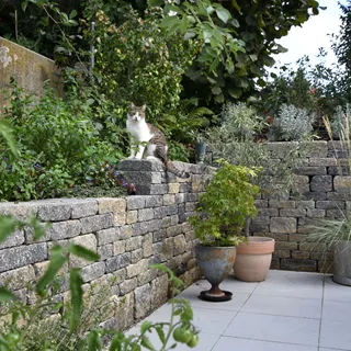 VERZASCA<sup>®</sup> Weinbergmauer