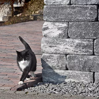 VERZASCA<sup>®</sup> Weinbergmauer