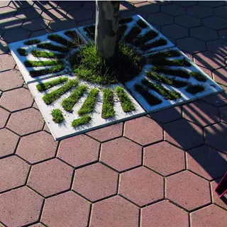 Entourages d'arbres COMO