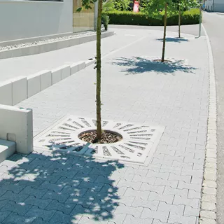 Entourages d'arbres COMO